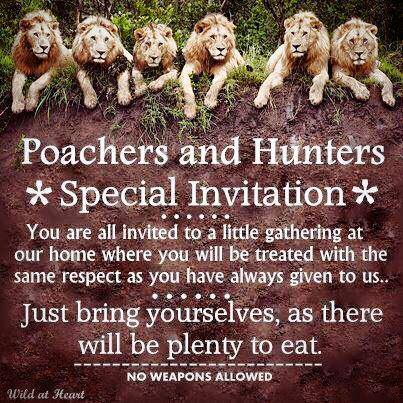 10459917_1511195602432639_964600621055452360_n