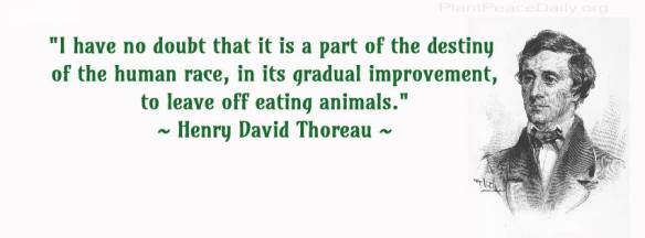 10487209_1516364415253773_7811726767457242180_n