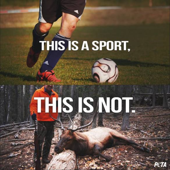 10368479_10152532154104586_2706872192299860162_n