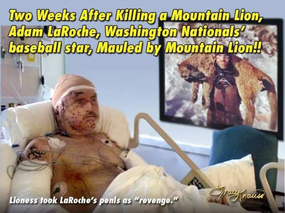 10387568_1513182575562779_9083453157424128149_n