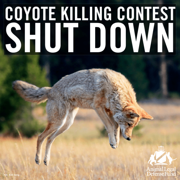 10453430_10152145047241218_1899152902806251418_n