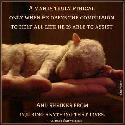 10552589_288157244703089_7676881822539272051_n