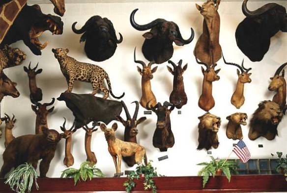 HuntingTrophiesJamieKripke600