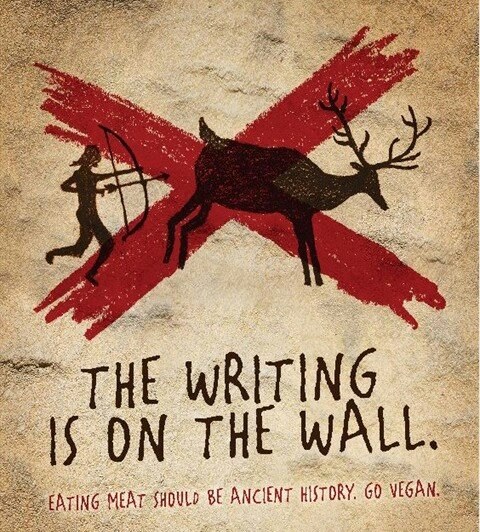 10584016_674820932587491_2805980846303535564_n