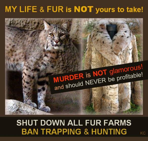 1560594_4506833524906_4474373351013131003_n