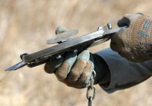 538458_532697610088640_841278349_n