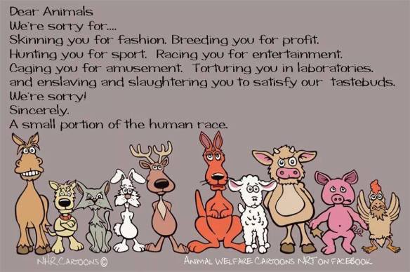 10670011_283780445141539_6589106042961750119_n