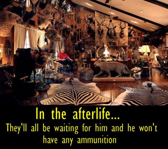 10672309_494957377273705_7847204821097280177_n