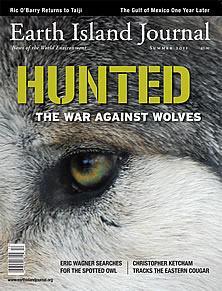 Earth Island Journal Stands Up For Wolves