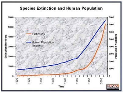 1451324_650954518277931_1616731734_n