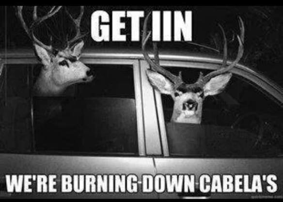 1549480_657426264295432_724679478_n