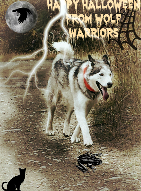 Happy Halloween From Wolf Warriorsjpg