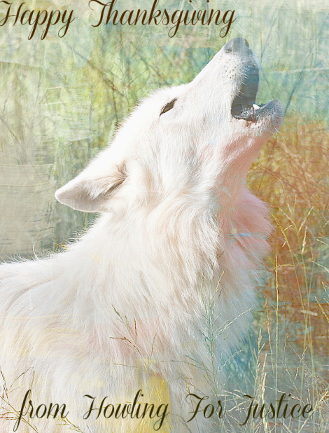 Happy Thanksgiving from Howling for Justice