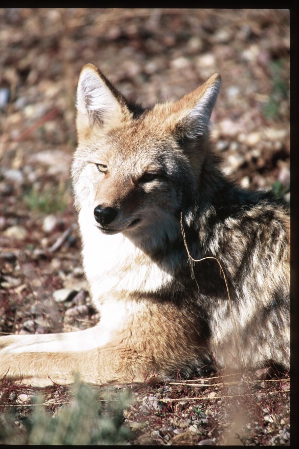 photo by Jim Robertson