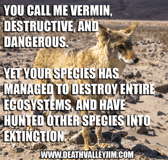 10428430_908575259162186_3796337178264894085_n