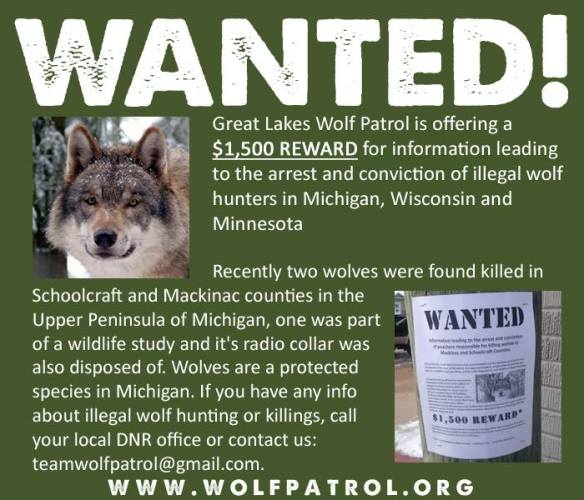 10847786_304830476383266_431921223740048540_n