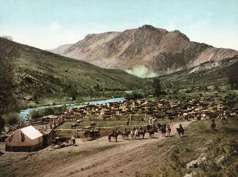 Cowboys 1898 round up in Colorado
