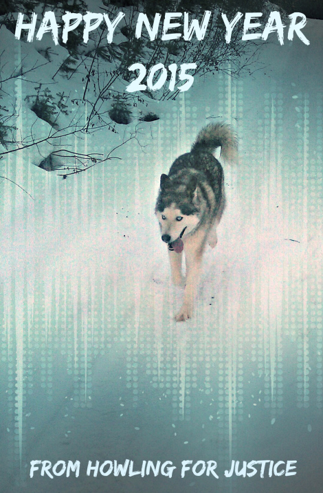 Happy New Year from Howling For Justice
