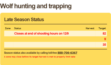 Minn Wolf Hunt Goes Over Limit December 9 2014