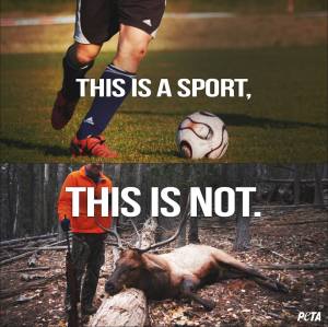 10368479_10152532154104586_2706872192299860162_n