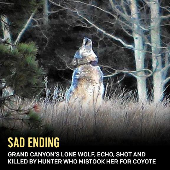 10906075_10155034869550301_2511370178161460178_n