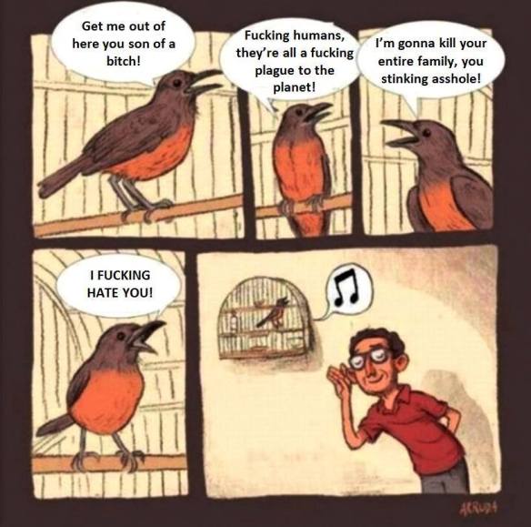 10530913_1570877459795781_2533557188593059886_n