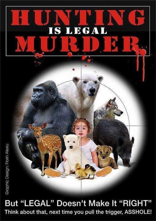 10653377_547257552084370_3844733126804296742_n