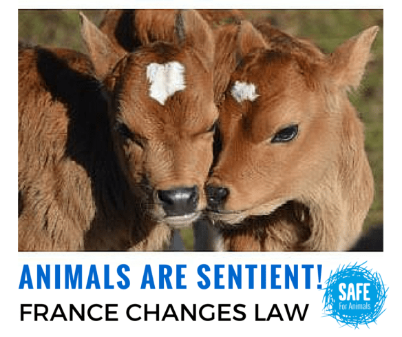 1920039_10155164268620434_4071049611738543474_n