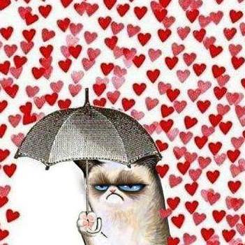 988936_10152704268734227_2693757577318207356_n