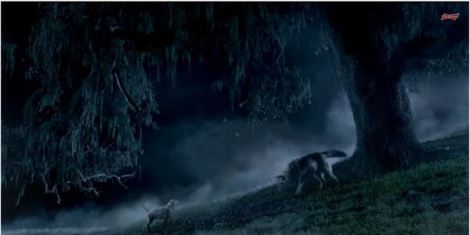 Bud demonizing wolves to sell beer - CBD