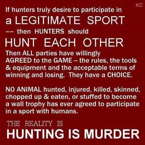 10891986_804570146264294_8334981903611973799_n