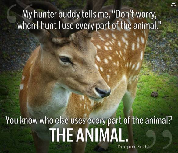 10917390_347586172103231_7829936699580649981_n