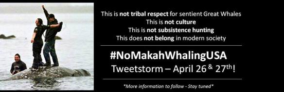 11076246_946633225370190_1074626221156185929_n