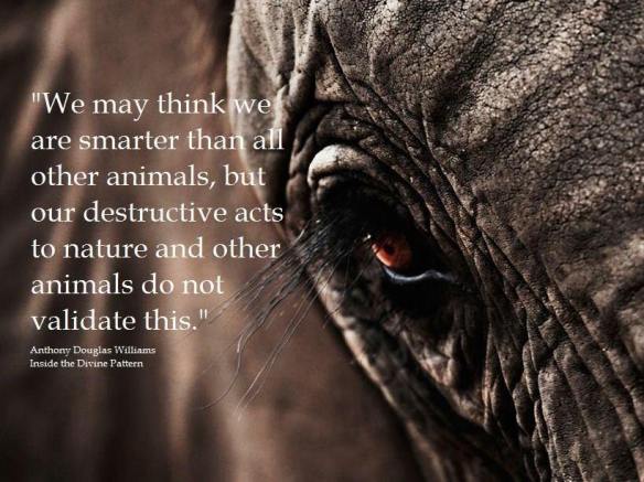 1557484_675755785803721_616882141_n