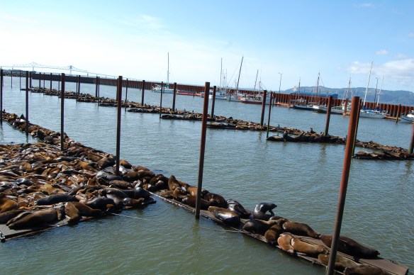 Wildlife Photography ©Jim Robertson