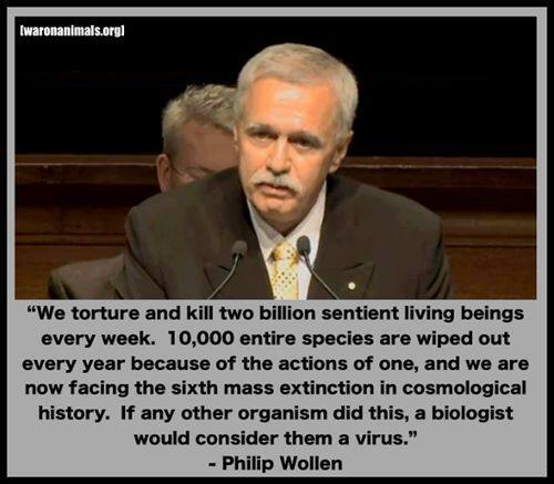 11196363_1648531482032383_473507070315926811_n