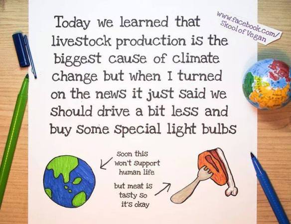 1901554_284296371763676_1407902016671406791_n