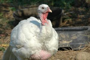 302023_10150378903781188_1851399709_n