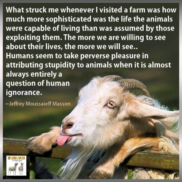 11230584_10153298775278769_2024251734562926168_n