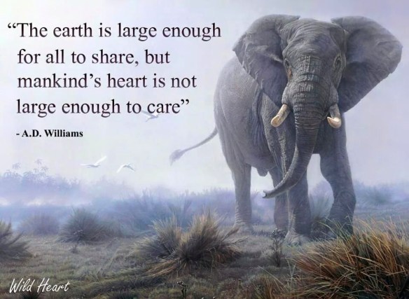 11259525_555836894555749_4295500415848445220_n