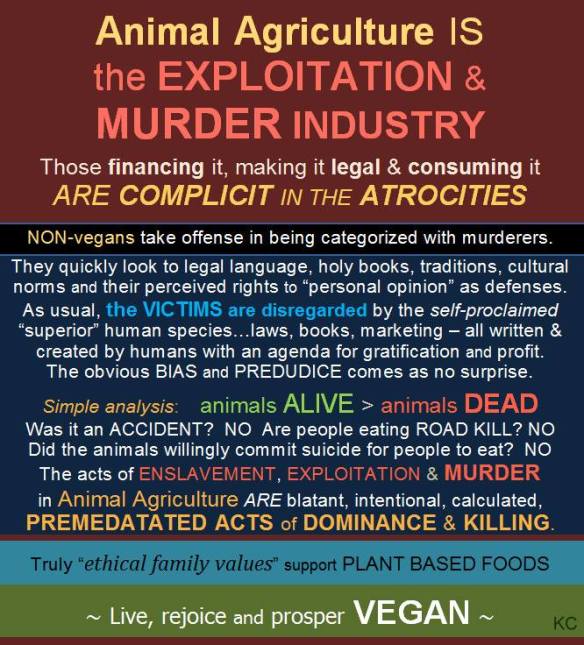 11265540_10200500250344758_1565739553330199065_n