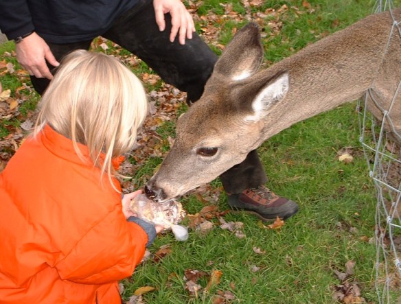 Photo via Wikimedia Commons 