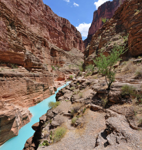 The confluence of Havasu Creek with the Colorado River (river mile 157) is a popular place for boaters to stop and admire the striking blue-green water of Havasu Creek. The turquoise color is caused by water with a high mineral content. At the point where the blue creek meets the turbid colorado river there often appears a definite break. NPS photo by Erin Whittaker.