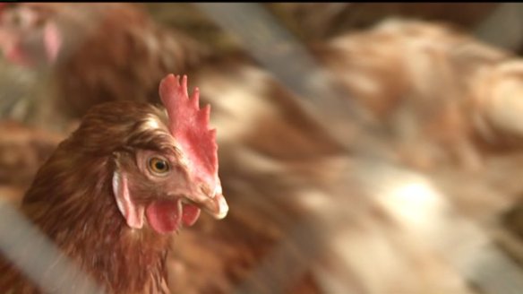 Featured Image -- 9291