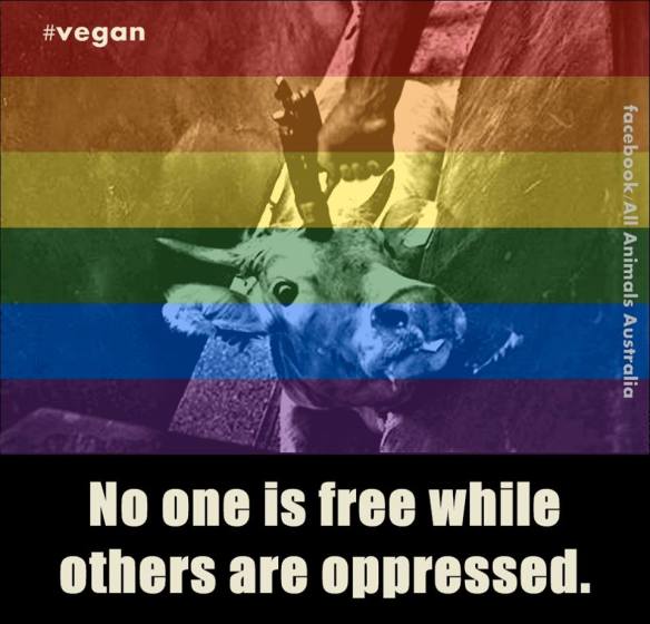 11038570_798220036943254_8928612153015243868_n