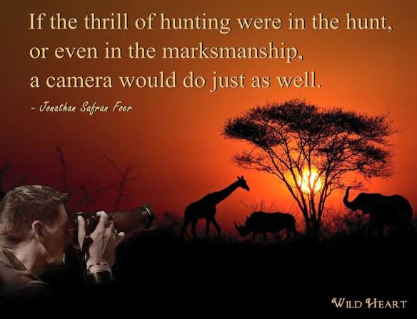 11391627_564673857005386_3639706348225927847_n