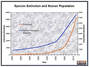 1451324_650954518277931_1616731734_n
