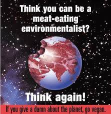 10405311_308608659330466_3235603653435958062_n