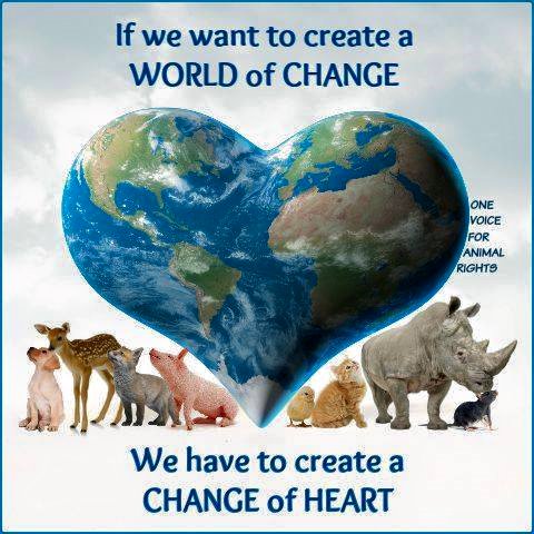 11745736_133221767014660_4760726275278076498_n