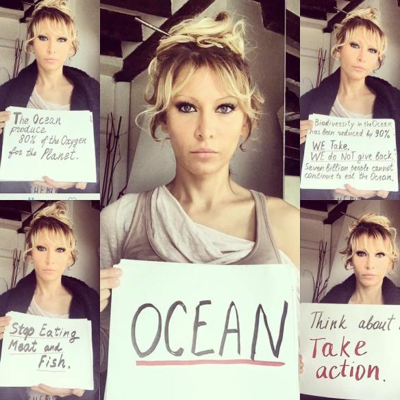 1441585_984671551566751_1322236807310590658_n